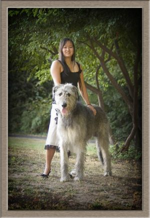 West Linn High School Senior Girl with Pet Wolfhound